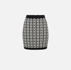 Elisabetta Franchi Minigonna In Viscosa Logo Jacquard^ Gonne