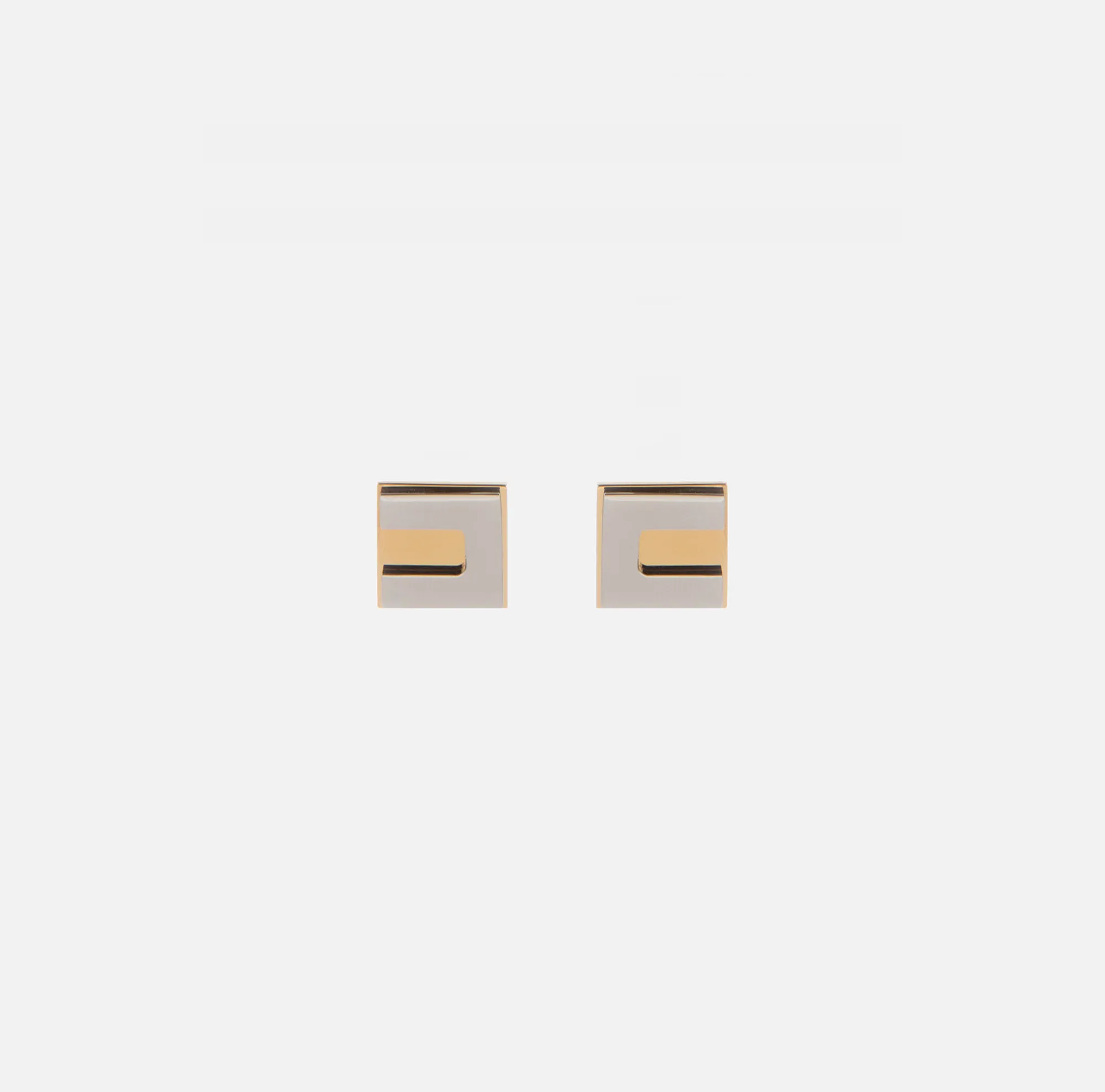 Elisabetta Franchi Orecchini Logo Cubo^ Bijoux
